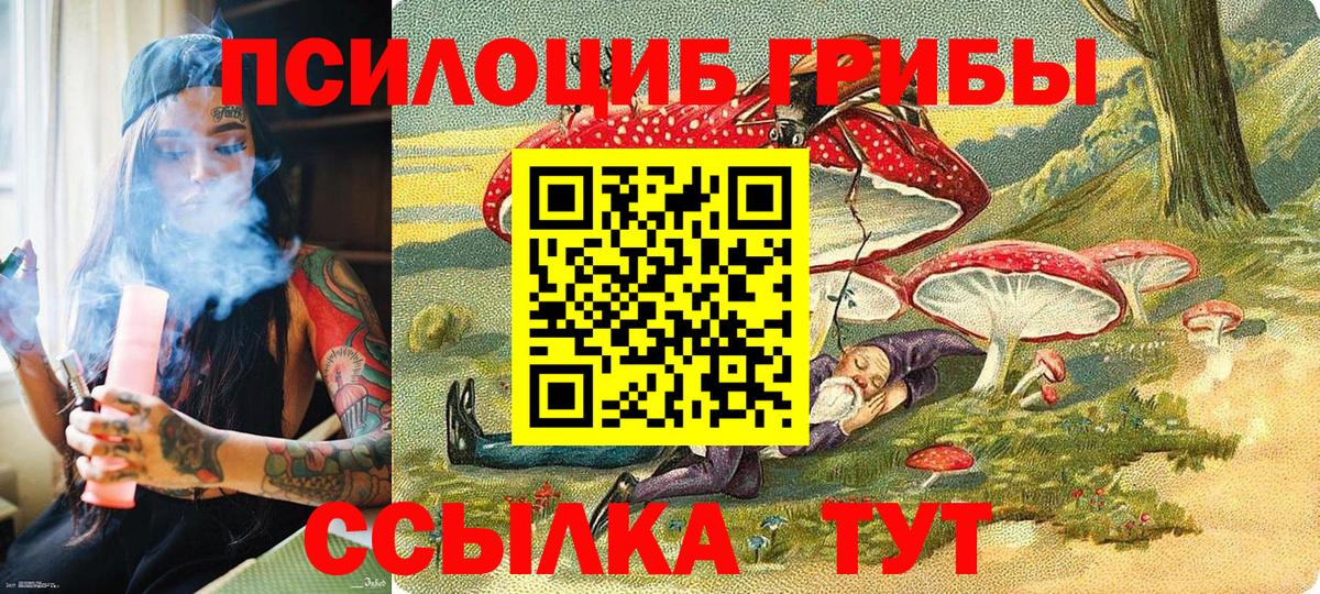 Галлюциногенные грибы Magic Shrooms  Вход с VPN  купить наркотики цена  Будённовск 