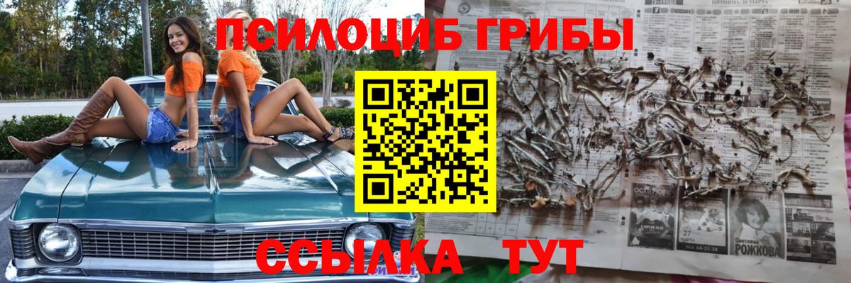 Псилоцибиновые грибы MAGIC MUSHROOMS Будённовск