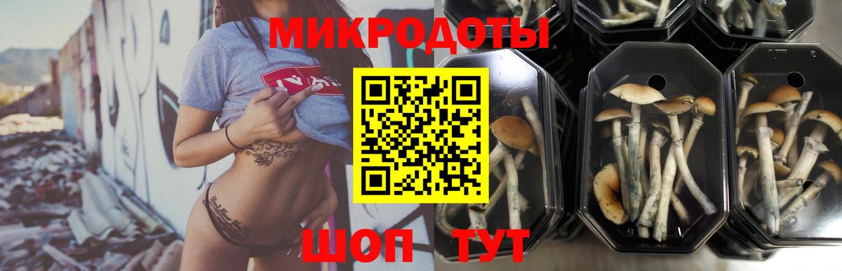 Псилоцибиновые грибы Magic Shrooms  где найти   Будённовск  Псилоцибиновые грибы MAGIC MUSHROOMS 